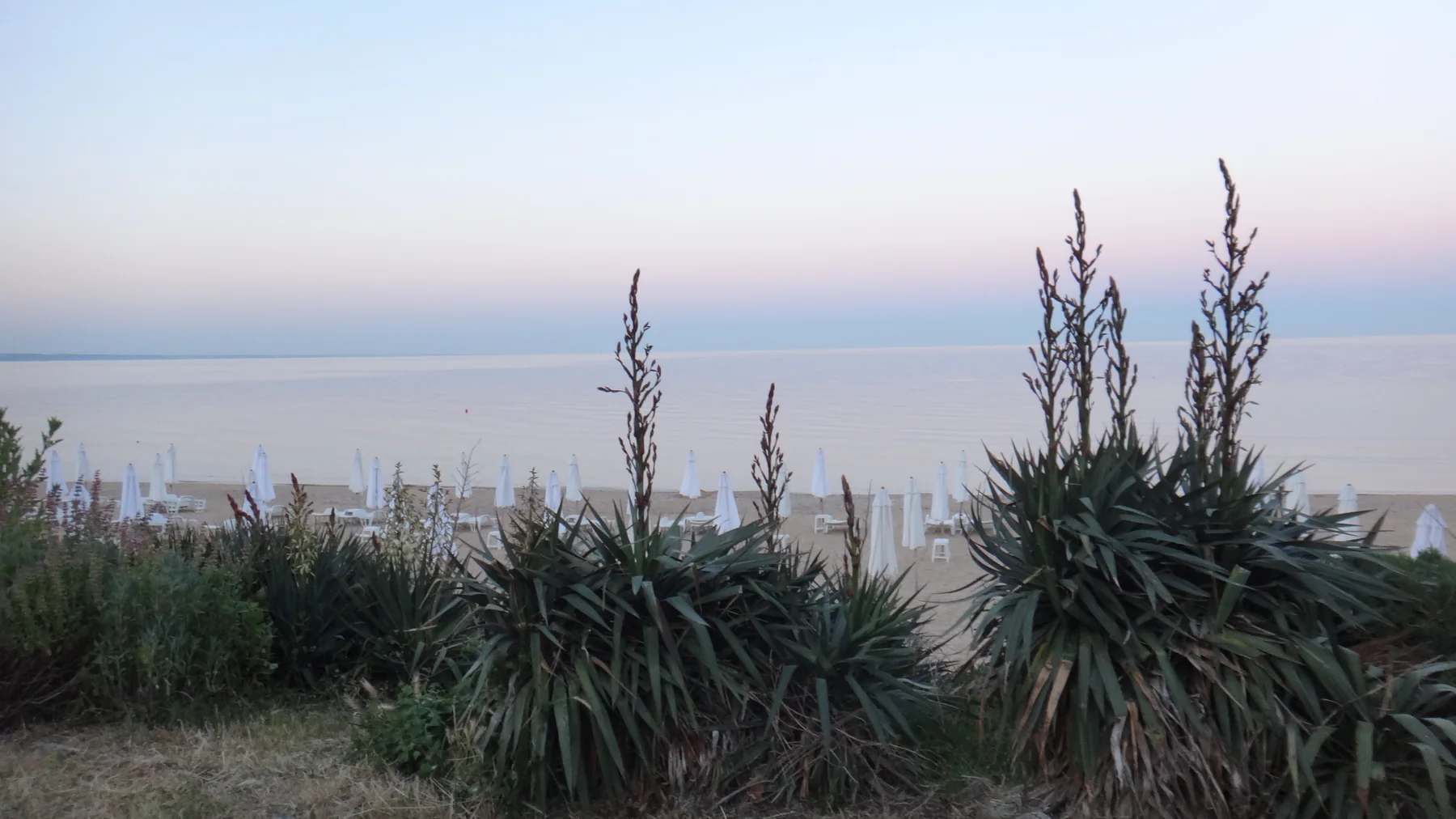 Abendstimmung am Goldstrand